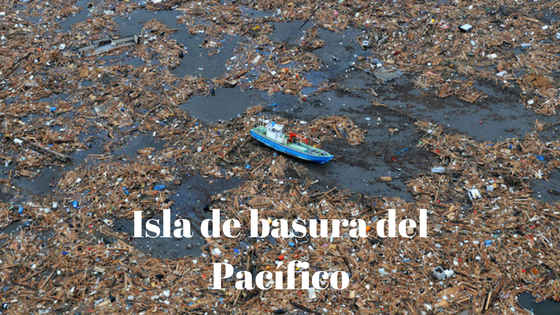 Isla de basura del Pacífico, el plástico en la cadena alimentaria