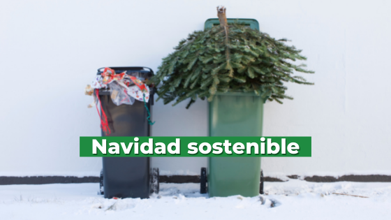 Navidad sostenible Tips