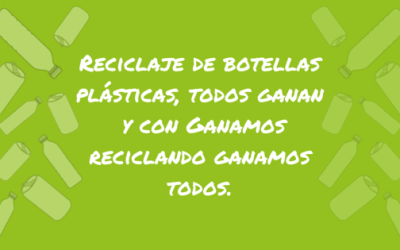 Reciclaje de botellas plásticas, todos ganamos