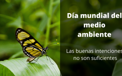 5 de junio día mundial del medio ambiente