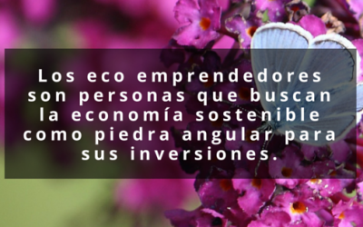 Qué es un eco emprendedor?